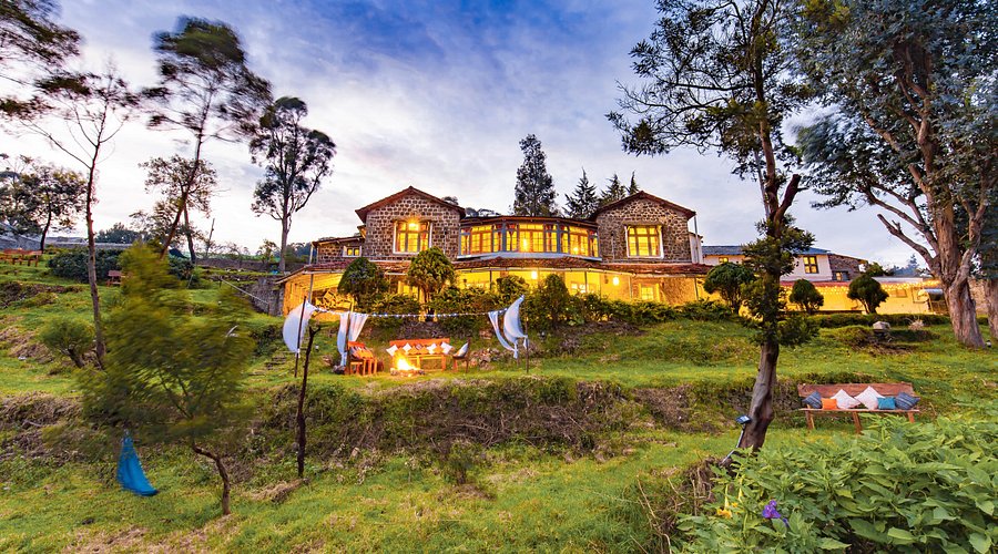 Zostel Turns 12: How India’s Biggest Backpacker Brand Made It Without Celebs or Ads